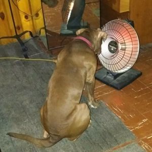 Meet your Posher, Joshua